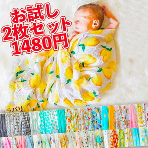 yp2Zbgz2dK[[t150LO1ʏ_炩_uK[[̒g tĉ ʔN l@\