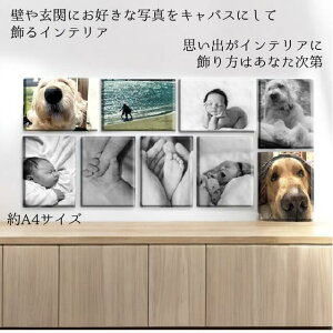 j[{[tHg V vo ʐ^ c vo I[_[ChtHgpl LoXvgA4TCY LoXF3TCY273×220mm tHgplʐ^ G Ǌ| 