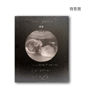 j[{[tHg_GR[LoXuGR[ʐ^vȕ؁vutHgLoXv LoXF3TCY273×220mm tHgplʐ^ G Ǌ| CeA LOʐ^ A