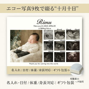 j[{[tHg_GR[LoXyGR[ʐ^9j[{[tHg1Łz LoXF3TCY273×220mm tHgplʐ^ G Ǌ| CeA LOʐ^ A[g