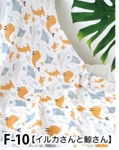 y12ʊzoYj   K[[bhJ 唻2dK[[ xr[Mtg ݃J[  ʋC bsO ŒZ