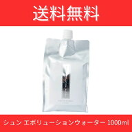 エボリューションウォーター1000ml シュン 毛髪用化粧水 まとまり 潤い ツヤ トリートメント パーマ サラ…
