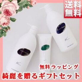 特別ギフトセット 送料無料 シャンプー トリートメント コンディショナー プレゼント ラッピング ギフト 母の日 人気 お中元 お歳暮 誕生日 お祝い