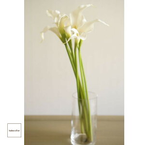  J[ zCg 53cm 7{Zbg Th[ Mtg p A[eBtBVt[ CeA  rO _CjO e[u  i     