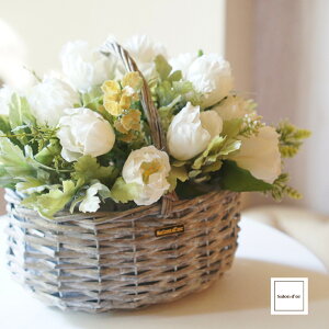 yc͂z `[bv oXPbg AWg ͂Ȃ  t[  Mtg v[g  CeA a  i 蕨   GKg  킢