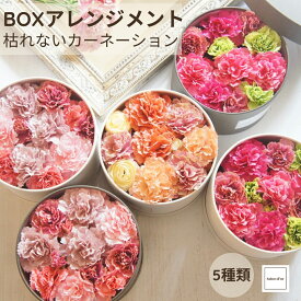遅れちゃった母の日に BOX フラワー アレンジメント 枯れない 高級 カーネーション 高品質 造花 母の日 ギフト プレゼント 贈り物 インテリア おしゃれ 可愛い シンプル ママ お母さん ピンク オレンジ 爽やか お花 フラワー 花