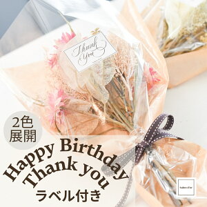 yyVLO܁z ͂Ȃ K[x u[P  i  Mtg v[g  CeA a 肪Ƃ  sN AC{[ 蕨 hV̓ ̓ p 