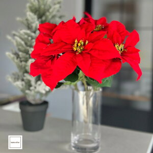 y2025/11V c͂z ͂Ȃ |CZ`A  i   NX}X ~ 12 p CeA t[    A[eBtBVt[  킢 Vv 