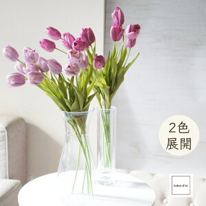 yyVLO܁z m[u`[bv ͂Ȃ  `[bv  2F x_[ t[VsN 3{ 6{ Zbg A[eBtBVt[ 52cm CeA 킢 