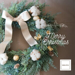 y2025NV c1_z ͂Ȃ VpS[h { i` NX}X [X  i  O[ ~ 12 p  CeA t[    Ǌ| N