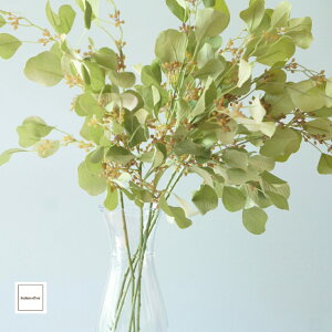  [J X[L[ O[ 5{Zbg 14{Zbg 68cm hV̓  i  CeA p ϗtA ͂Ȃ v[g Mtg 蕨 Vzj Vj ̓  