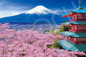 G|bN 1000s[X WO\[pY {i txmƌ܏d[R i50×75cmj 11-615s ̂t wt _t EPOCH