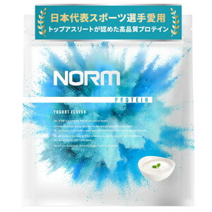 NORM m[ zGC veC lHÖsgp [Og 1kg 100ȏ̃gbvAX[gp WPC WHEY PROTEIN zGCveC 
