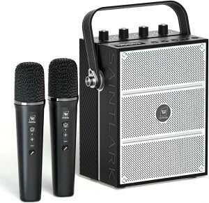 W WINBRIDGE g |[^uXs[J[ nh}CN 2lgp 剹 nYt[g PAVXe GR[/AUX/USB/microSDΉ Kz Cxg/c/w/g[jO/u/wZs