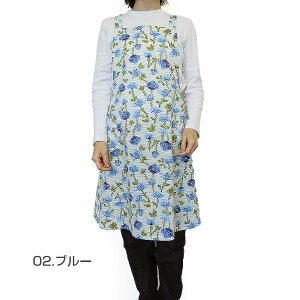 qSALErySybilla casaz Vr J[TAOA NX Gvq1_܂Ń[OKr { uh   