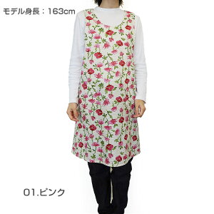 qSALErySybilla casaz Vr J[TAOA t[NX Gvq1_܂Ń[OKr { uh   