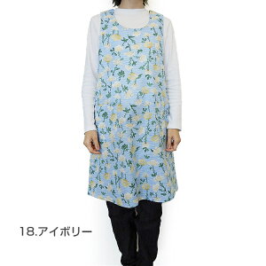 qSALErySybilla casaz Vr J[TAOA t[NX Gvq1_܂Ń[OKr { uh   