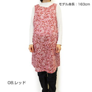 qSALErySybilla casazVr J[TtFV_ wtGvq1_܂Ń[OKr uh  {