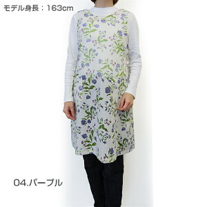 qSALErySybilla casazVr J[TKi(Ip[H) wt Gvq1_܂Ń[OKr uh 