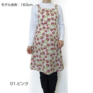 qSALErySybilla casaz Vr J[TJ} NX Gvq1_܂Ń[OKr { uh   