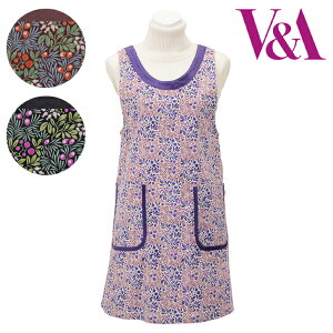 qSALEryV&AzBEAhEG[C`CƃC`S̖ R[fC wt Gvuh 