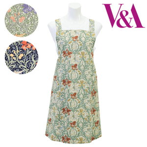 V&AyuCAhG[z ACX NX Gv 100q1_܂Ń[OKruh  {