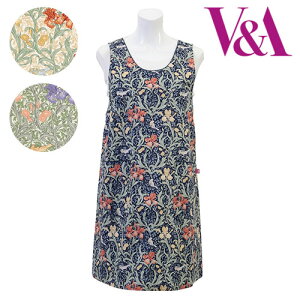 V&AyuCAhG[z ACX wt Gv 100q1_܂Ń[OKruh  {