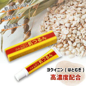 ng g~[b`/ ͂ƔGLX NCj z ێ C{ ngM