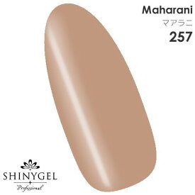 SHINYGEL Professional：カラージェル 257／マアラニ 4g （シャイニージェルプロフェッショナル）［UV/LED対応○］（JNA検定対応）