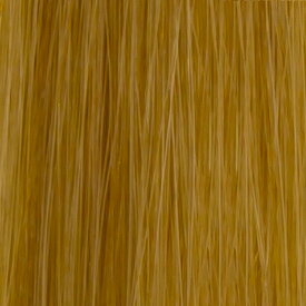 楽天市場 ゴールデンブロンドの通販