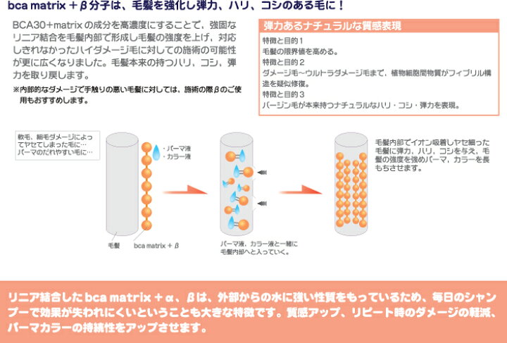 楽天市場】BCA matrix+βビーシーエーマトリックスプラス ベータ90ml 