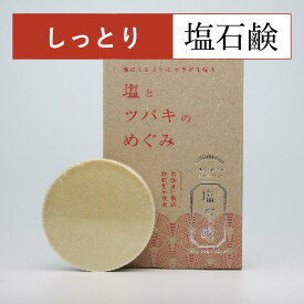 送料無料 [塩とツバキのめぐみ] メンズ 洗顔石鹸 敏感肌 固形 男性 80g しっとり 塩せっけん 低刺激 保湿 毛穴 椿油 洗顔石けん 固形 ツバキオイル サポニン 固形石鹸 生理食塩水 泡洗顔 泡立てネット付 天然素材 無添加 アルコールフリー 無着色 無香料 椿の塩石鹸