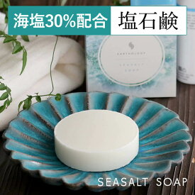 送料無料 メンズ 洗顔石鹸 男性 オーガニック 固形 無添加 もち泡 植物性せっけん素地と天然海塩だけで作られた 無香料 低刺激 敏感肌 乾燥肌 毛穴 洗顔せっけん 美容 界面活性剤無添加 ナチュラルソープ 日本製 送料無料 泡立てネット付 [EARTHOLOGY SEASALT] 洗顔