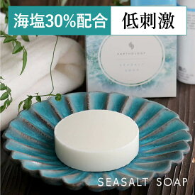 送料無料 メンズ 洗顔石鹸 敏感肌 男性 オーガニック 固形 無添加 もち泡 植物性せっけん素地と天然海塩だけで作られた 無香料 低刺激 乾燥肌 毛穴 洗顔せっけん 美容 界面活性剤無添加 ナチュラルソープ 日本製 送料無料 泡立てネット付 [EARTHOLOGY SEASALT] 洗顔