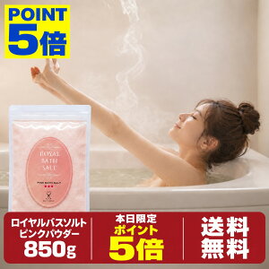 【本日限定！全商品ポイント5倍】入浴剤 バスソルト 約17日分 岩塩 ヒマラヤ岩塩 ピンクソルト パウダー 850g 大