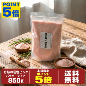 【本日限定！全商品ポイント5倍】食用 ヒマラヤ岩塩 ピンクパウダー 850g 奇跡の岩塩 天然 ピンクソルト 岩塩 パウ