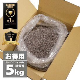 【限定10％OFFクーポン！ポイント5倍！】岩塩 ブラック 【硫黄香・食用不可】 ヒマラヤ岩塩 ブラックグレイン 小粒 5kg オマケ付き バスソルト ソルティースマイル【送料無料】【ラミジップ/スプーン/オーガンジーポーチ付き】