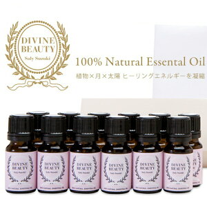 GbZVIC DIVINE BEAUTY pC (`)@