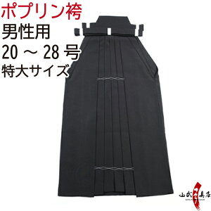 |  |v TCY jp n F F 󒍐Yi LZs 20`28 iԍH-124 q_Xeb`I |GXe80 [20 R|  