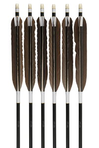 |  H 1913 Vtg 6{g EVtg inMF E11iԌnjE315EW-43igtԗ΁jEW-69i~̊ہjj a7.5mm | 10`13kg iԍ D-1779 | | R|X 