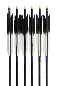 |  EVtg ^[L[ KF-1 2015Vtg 6{g nM EnEE[ a8.0mm | 13`18kg iԍ D-1768 R|X 