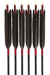  2115Vtg 6{g inMF E11iԌnjE54iΌnjE290injE353injj | 16kgȏ iԍ D-1787 |  C[Xg R|X 