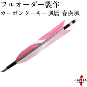 弓道 矢 カーボンの人気商品 通販 価格比較 価格 Com