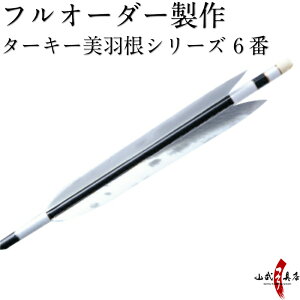 弓道 矢 フルオーダー製作 ターキー 美羽根シリーズ 6番 6本組 (イーストンシャフト1913 2014 2015) o-146