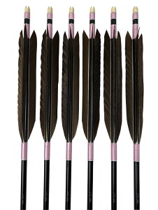 |  H Bi 1913 6{gyD-1717z iVtgF1913  j iHFH BijinMF171 sN j ߓI | 10`13kg a7.5mm R|X   