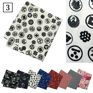 C~ 唻 100 ӂ낵 1m×1m 100cm   | | H-160 aG ԕ  _ _ Ɩ Ƃ Cg       lCr[ sN Y fB[X  킢 