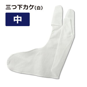 |  OcJP F //// 100 ylR|XΏہz   |  䂪 KP yugake | |p O{w 䂪p | JP JP | | 