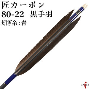 |  H J[{ J[{ }bgubN   nM: u[ 6{g 80-22 | 13kgȏ iԍD-1760 R|X 