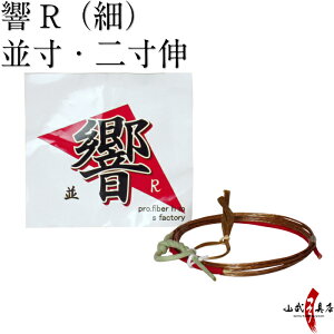 |  Riׁj1{ EL (񐡐L) ylR|XΏہz |  @  iԍ C-011