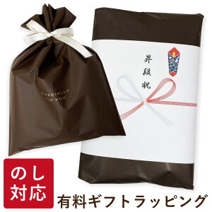 LbsO ܃bsO  êΉ ywp-chaz